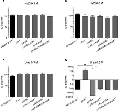 The osmoregulated metabolism of trehalose contributes to production of type 1 fimbriae and bladder colonization by extraintestinal Escherichia coli strain BEN2908